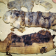 Imagen para el artículo titulado Encuentran en una tumba egipcia de hace 2.500 años docenas de momias de gatos